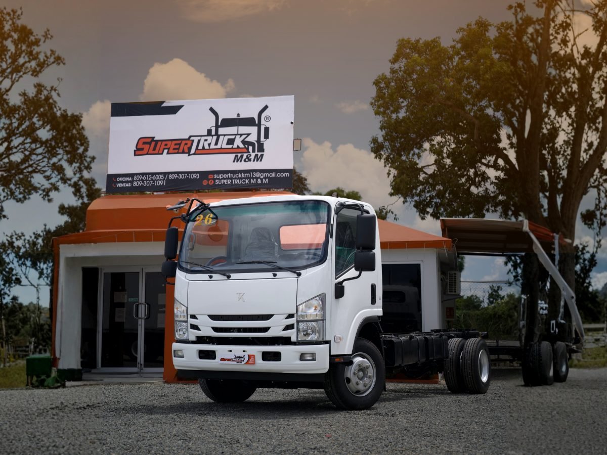 Camión T-King — Modelo 1